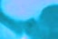Brain