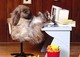 flexibelle