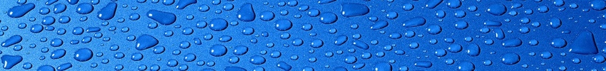 Brunello_65