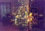 De boom