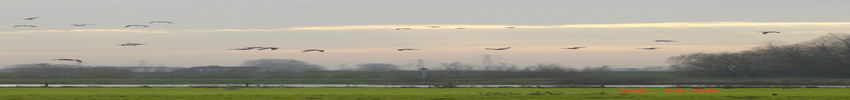 ijsselpad