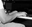joepjazz