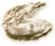 McParel