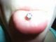 smartie88