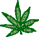 Happy Hemp