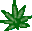 Happy Hemp