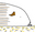 Elp de cavia