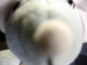 _miepmiep_