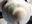 _miepmiep_