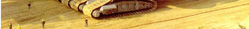 bruinkoolbeest