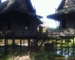 Orig