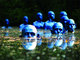 waterloopbos