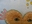 ToBee