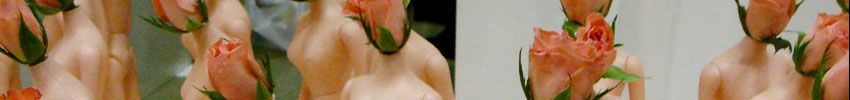 kees9